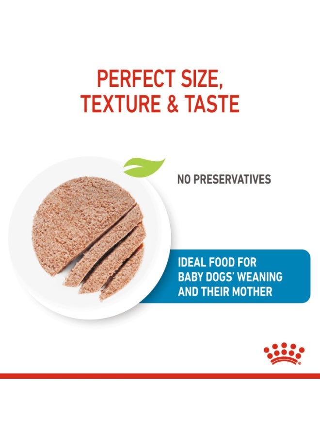 رويال كانين هيلث نيوتريشن ستارتر موس - للأمهات والكلاب الصغيرة (طعام رطب - علب) 195 غرام - Image 4